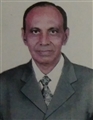Prahladbhai Kacharabhai Patel - Nanabar
