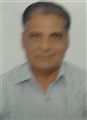 Mahendrakumar Ishwarlal Patel - 41 Gam K. P. S.