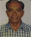 Ramanbhai Kishorbhai Patel - Nanabar