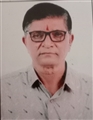 Pravinkumar Vitthaldas Patel - 41 Gam K. P. S.
